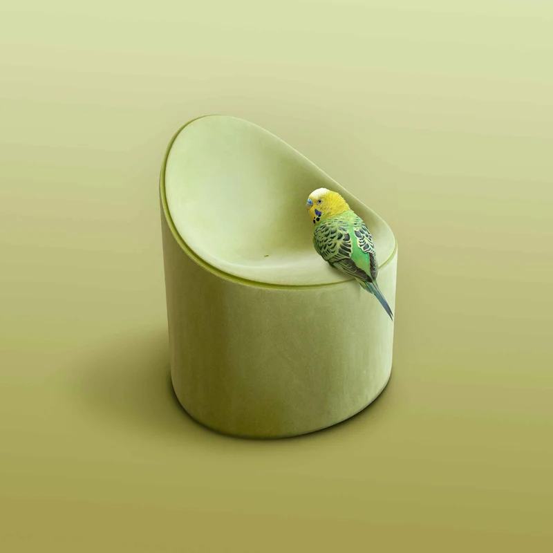 Armchair BAY by Raffaella Mangiarotti for Serralunga