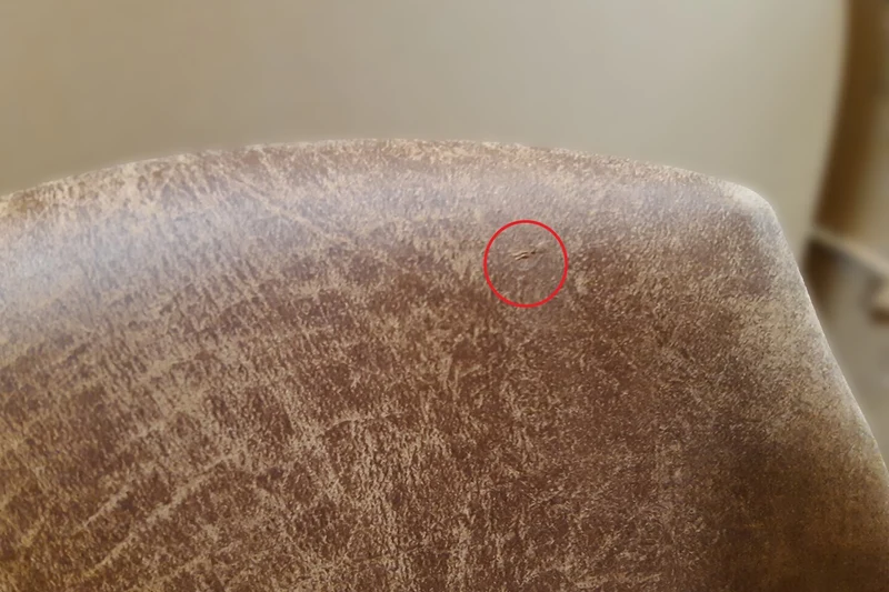 B-Ware KAWOLA Stuhl Cali Sessel Microfaser taupe Füße matt-schwarz