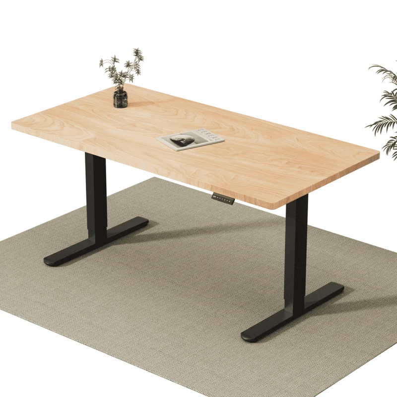 V2 Ultra Elektrisch Höhenverstellbarer Schreibtisch mit Doppelmotor