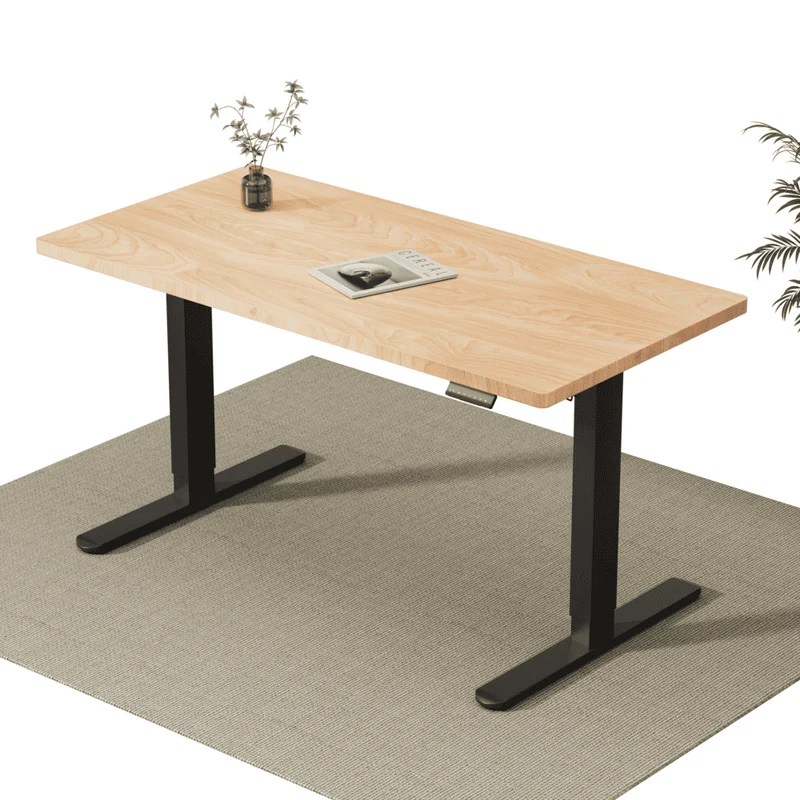 V2 Ultra Elektrisch Höhenverstellbarer Schreibtisch mit Doppelmotor