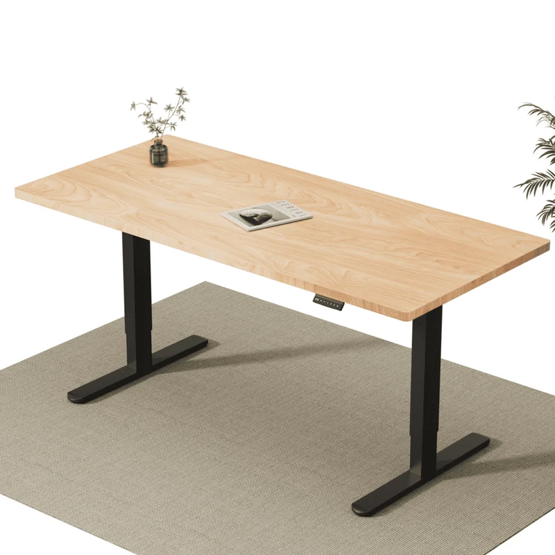 V2 Ultra Elektrisch Höhenverstellbarer Schreibtisch mit Doppelmotor