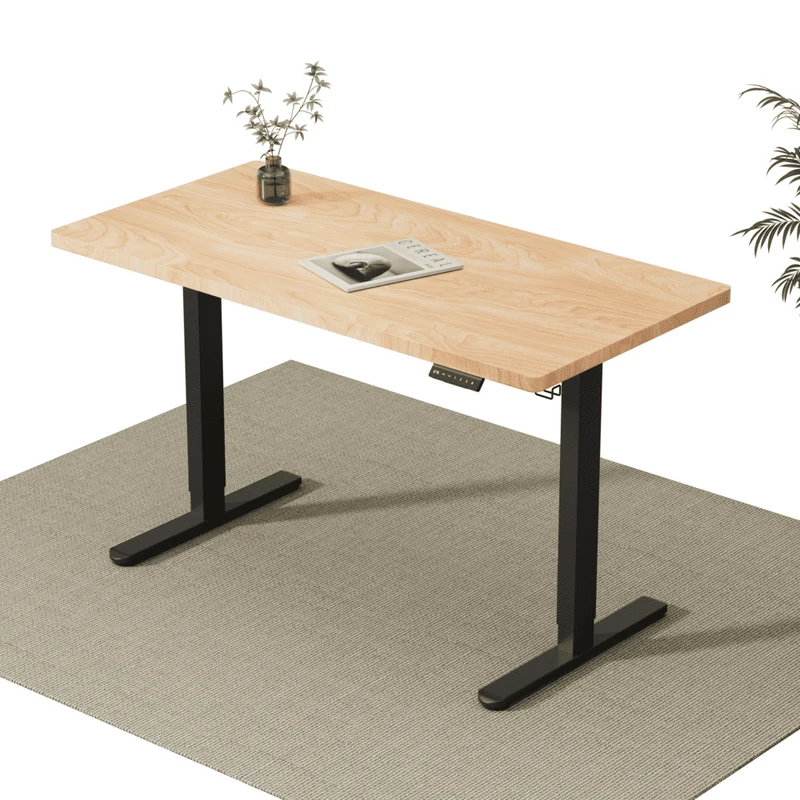 V2 Ultra Elektrisch Höhenverstellbarer Schreibtisch mit Doppelmotor