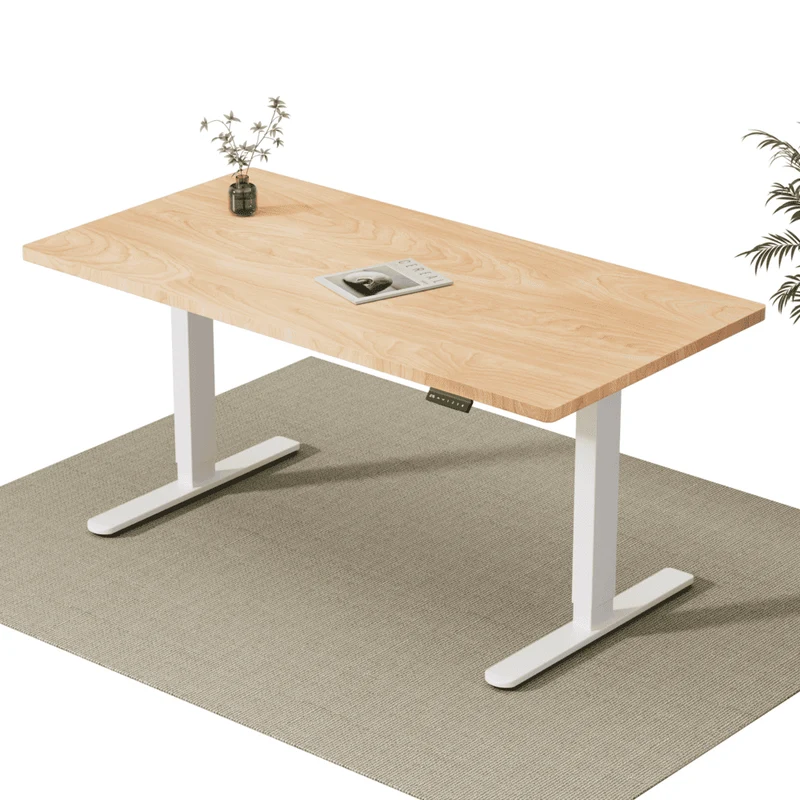 V2 Ultra Elektrisch Höhenverstellbarer Schreibtisch mit Doppelmotor