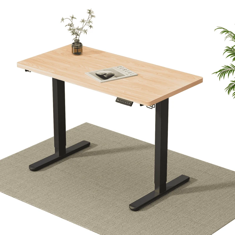 V2 Ultra Elektrisch Höhenverstellbarer Schreibtisch mit Doppelmotor