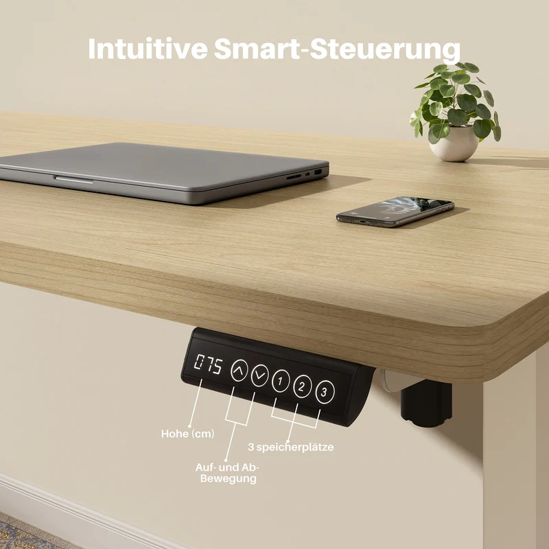 Basic Höhenverstellbarer Schreibtisch mit Entire Board Desktop