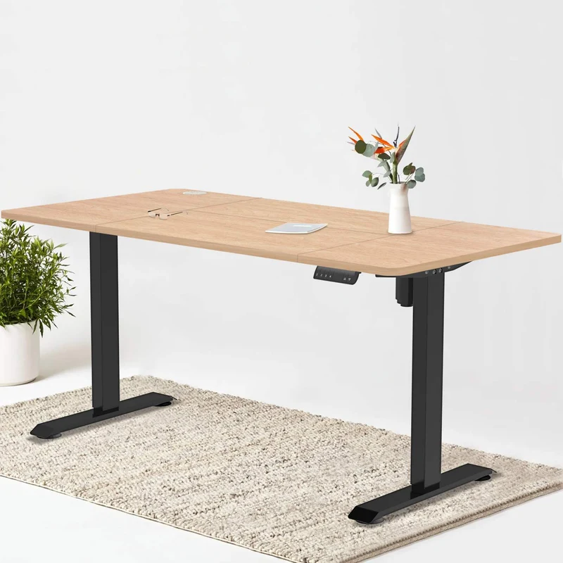 Pro Elektrisch Höhenverstellbarer Schreibtisch