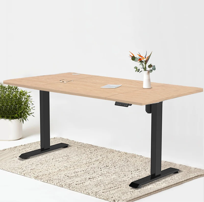 Pro Elektrisch Höhenverstellbarer Schreibtisch