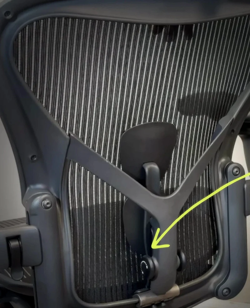 Lumbar Support Compatible with PostureFit SL Model with Adapter for Herman Miller Aeron Chairs by OLS