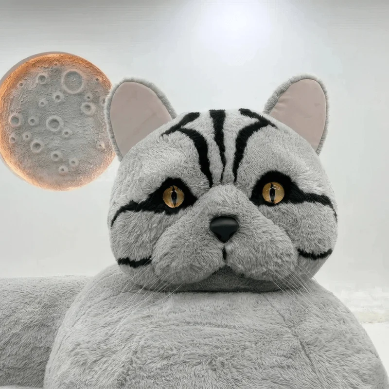 Cat Whiskers Sofa - The Cat You Can Sit On