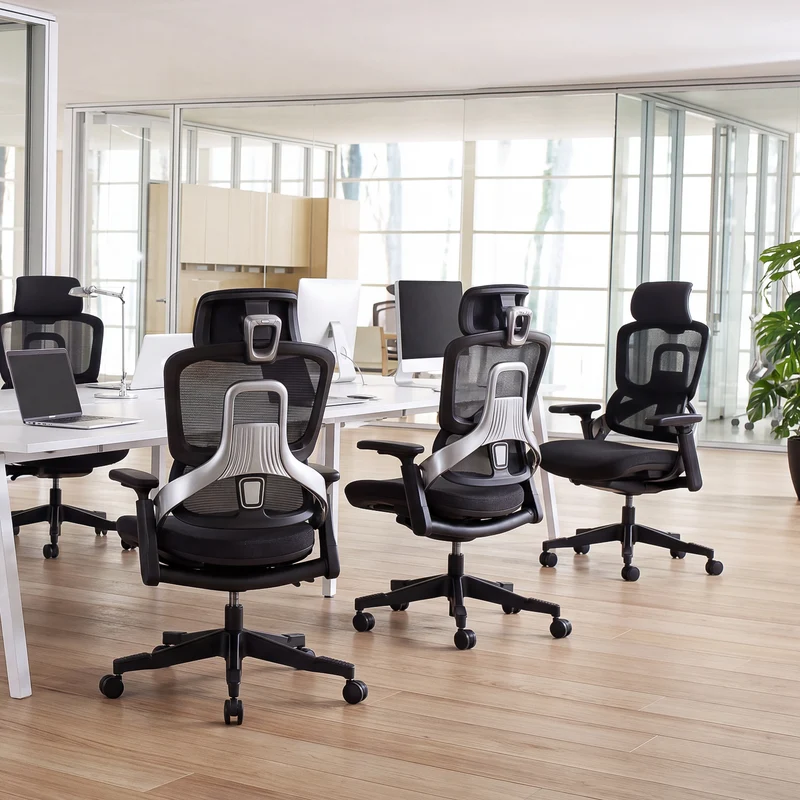 Hinomi H2 Classic with headrest
