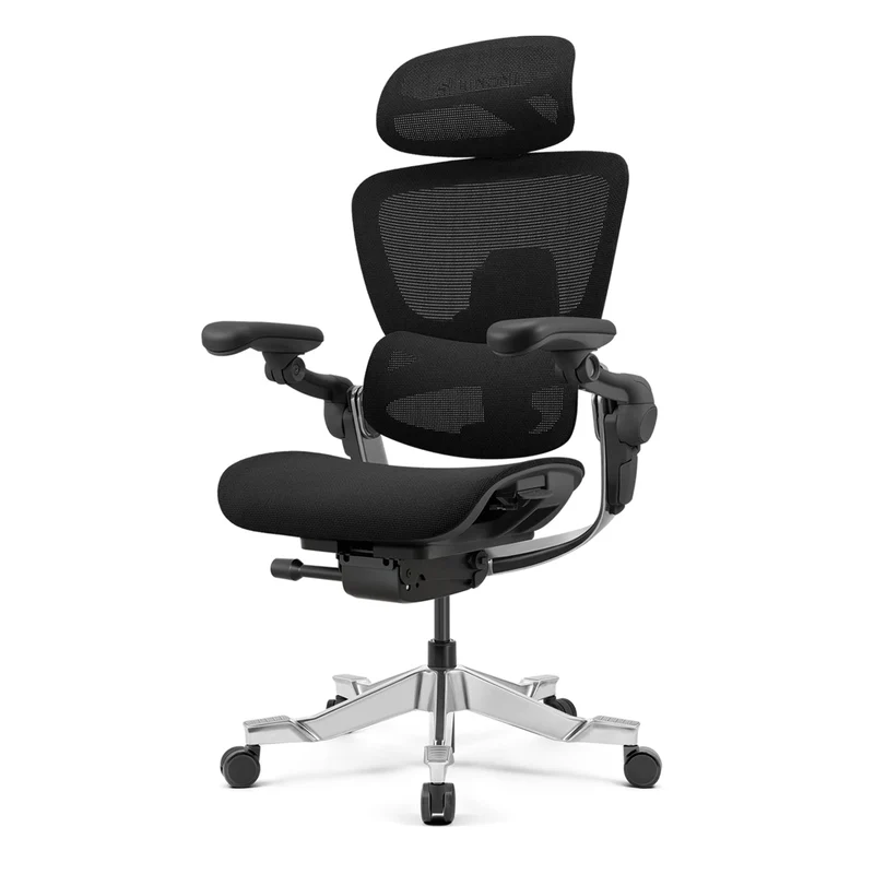 Hinomi H2 Pro Ergonomic Office Chair with Selectable Footrest