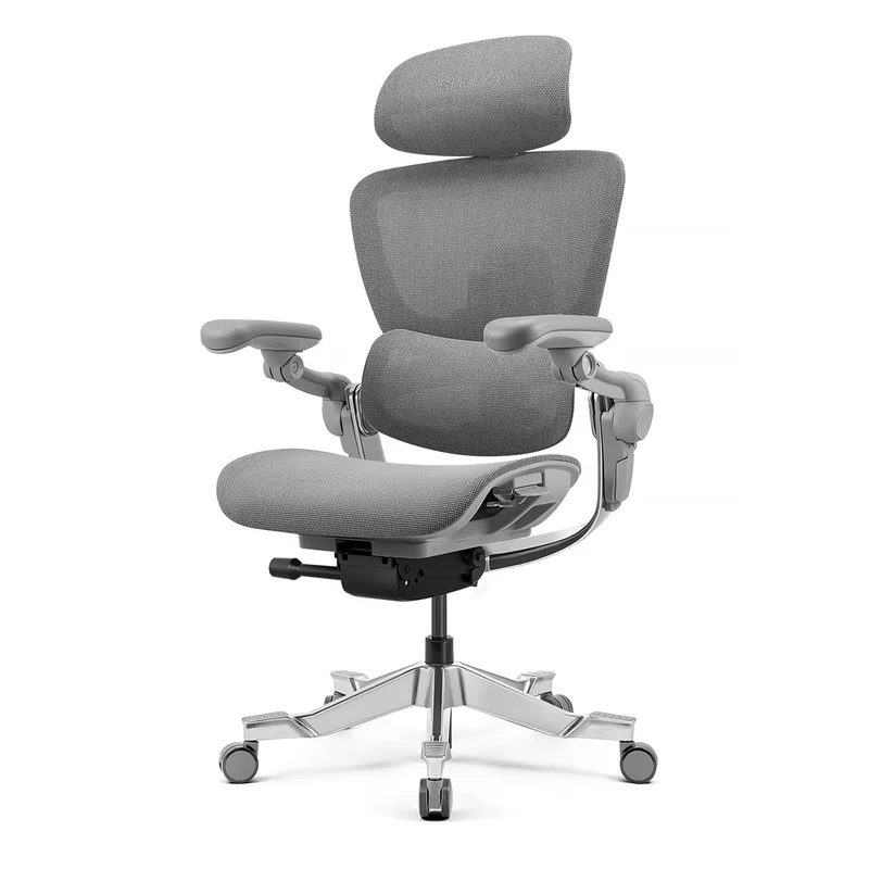 Hinomi H2 Pro Ergonomic Office Chair with Selectable Footrest