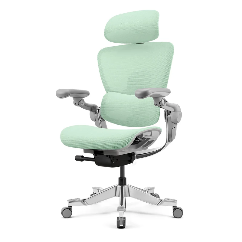 Hinomi H2 Pro Ergonomic Office Chair with Selectable Footrest