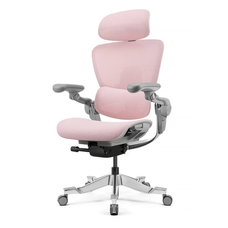 Hinomi H2 Pro Ergonomic Office Chair with Selectable Footrest
