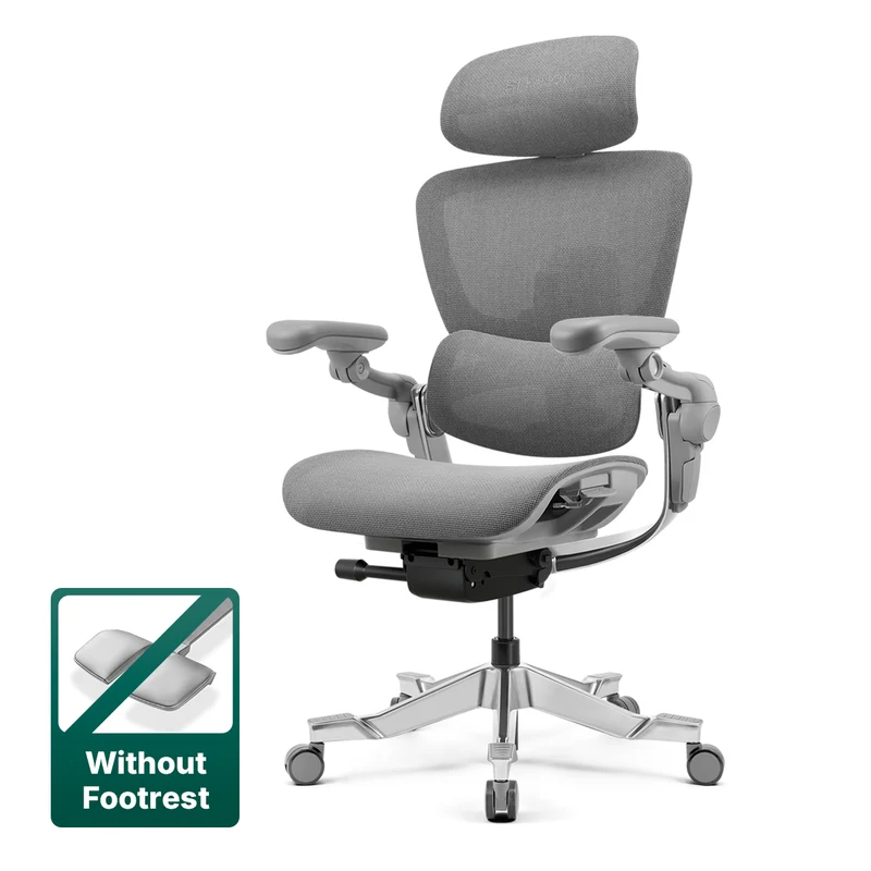 Hinomi H2 Pro Ergonomic Office Chair with Selectable Footrest