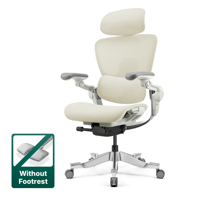 Hinomi H2 Pro Ergonomic Office Chair with Selectable Footrest