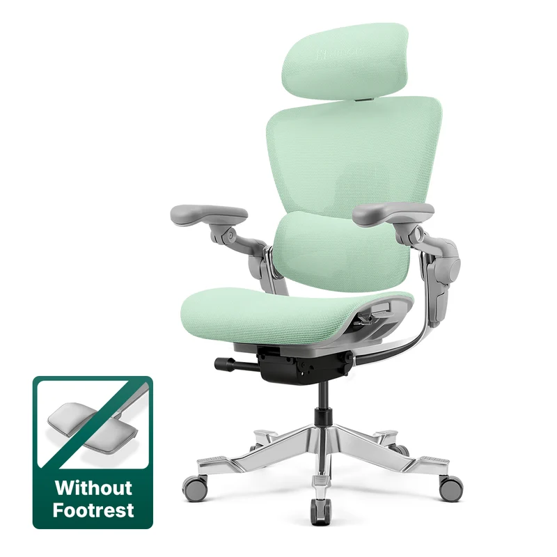 Hinomi H2 Pro Ergonomic Office Chair with Selectable Footrest