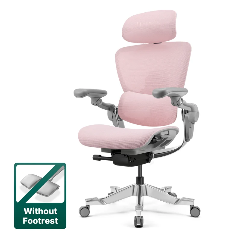 Hinomi H2 Pro Ergonomic Office Chair with Selectable Footrest