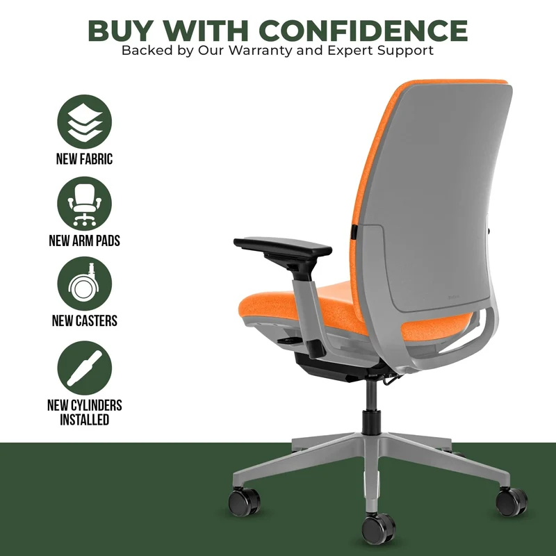 Steelcase Amia Task Chair (Platinum Frame) Fully Renewed