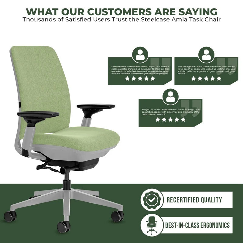 Steelcase Amia Task Chair (Platinum Frame) Fully Renewed