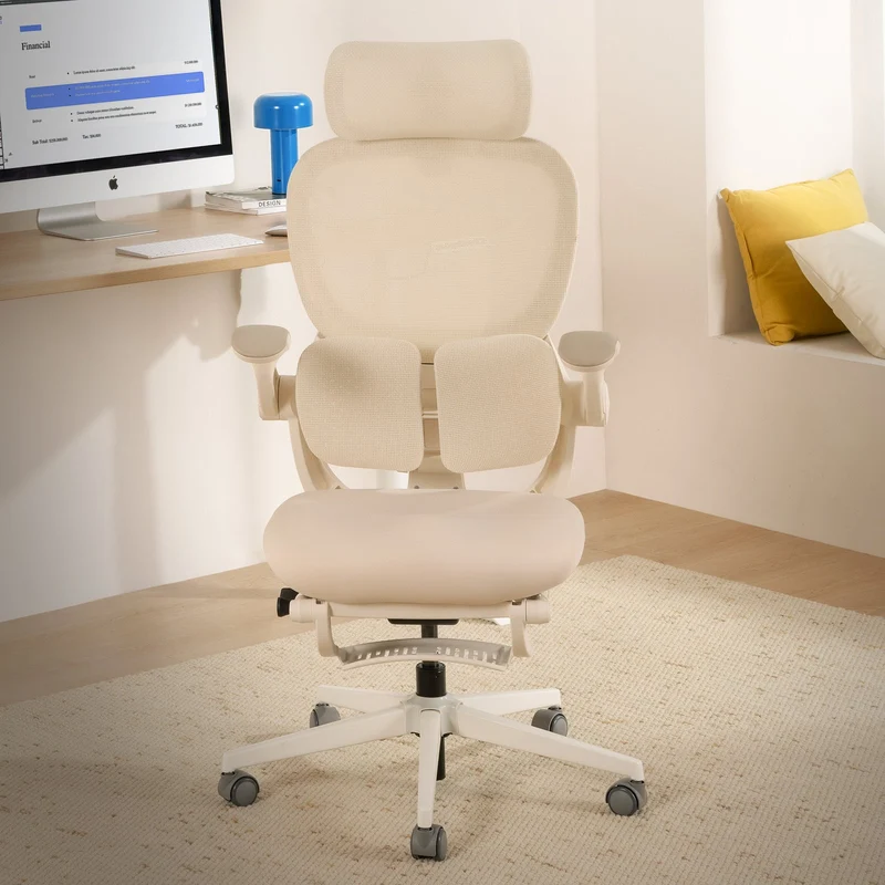 Hinomi Q2 Ergonomic Office Chair with Free Footrest