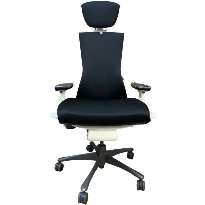 Herman Miller Embody Chair and OLS Headrest Saving Bundle