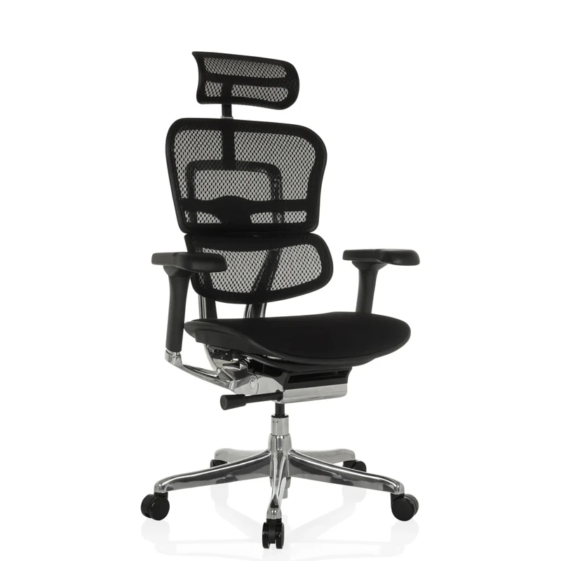 ERGOHUMAN GEN2 | Netzstoff / Stoff - Luxus Chefsessel