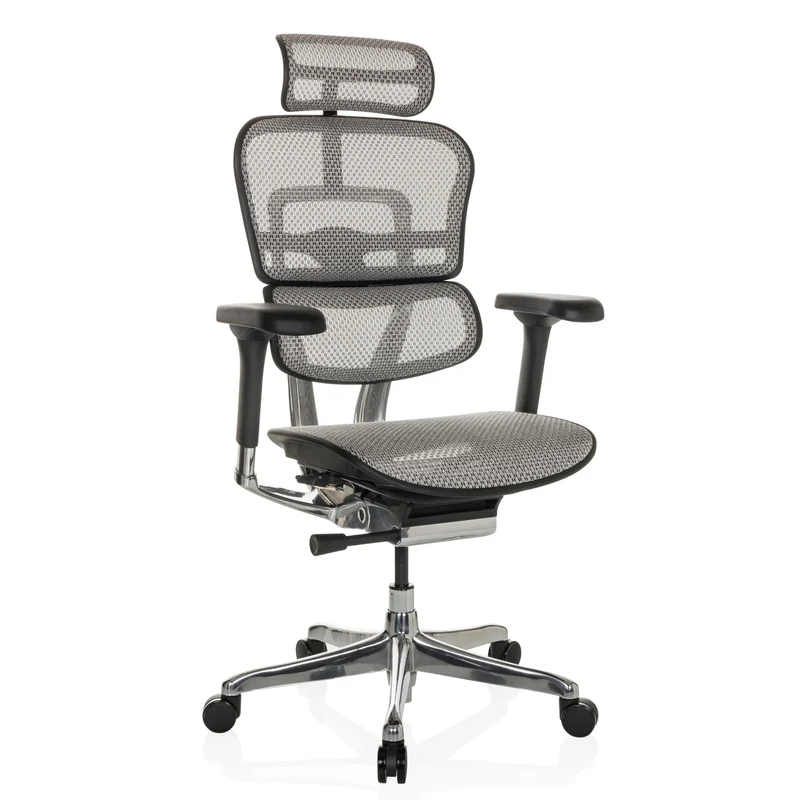 ERGOHUMAN GEN2 | Netz - Luxus Chefsessel