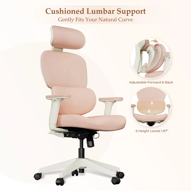 Welax S3 Pro – Ergonomic Office Chair with a Colorful Lifestyle Design
