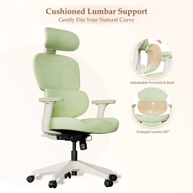 Welax S3 Pro – Ergonomic Office Chair with a Colorful Lifestyle Design