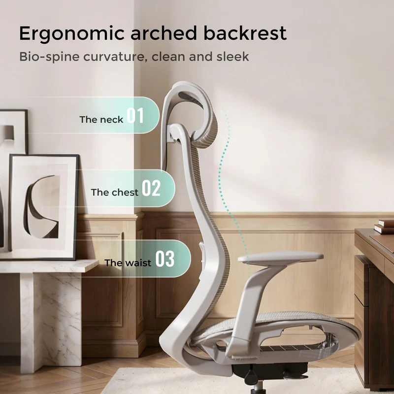 S5 Office Chair with Smooth Arch Design Style