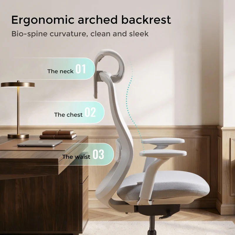 S5 Office Chair with Smooth Arch Design Style