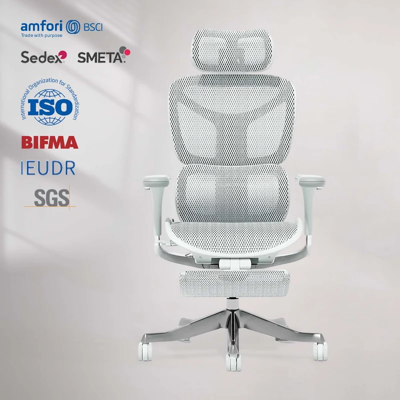 Welax S9 Pro – Premium Ergonomic Office Chair with Superior Comfort