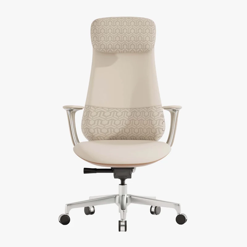Omidi-Neta Premium Leather Chair with Headrest