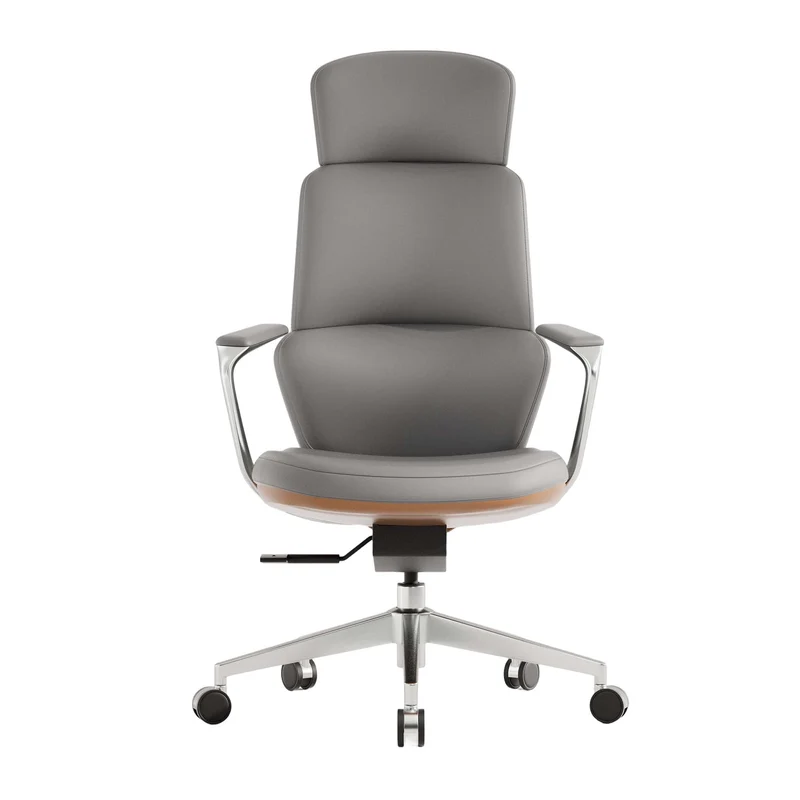 Omidi-Nolan Leather Chair with Classic Design