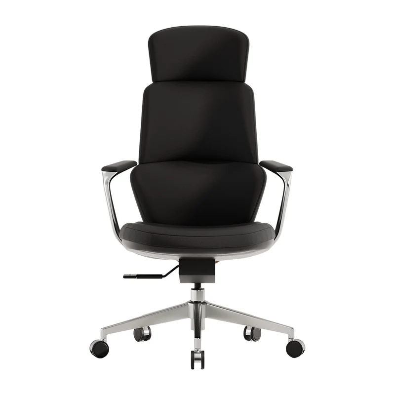 Omidi-Nolan Leather Chair with Classic Design