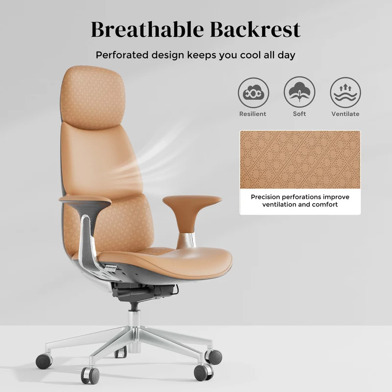 Omidi-Nolan Leather Chair with Classic Design