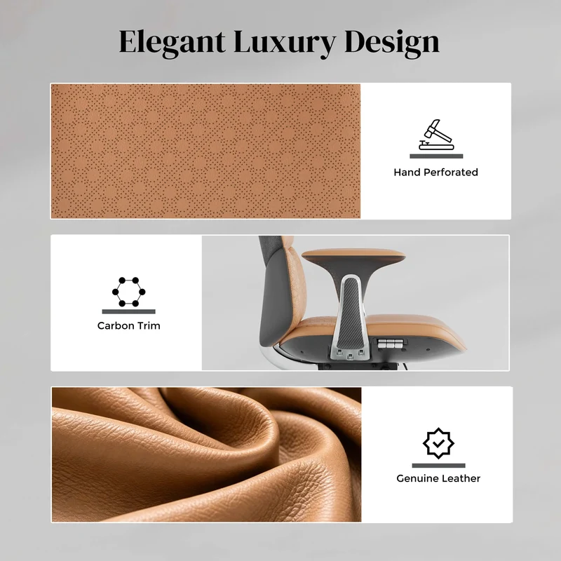 Omidi-Nolan Leather Chair with Classic Design