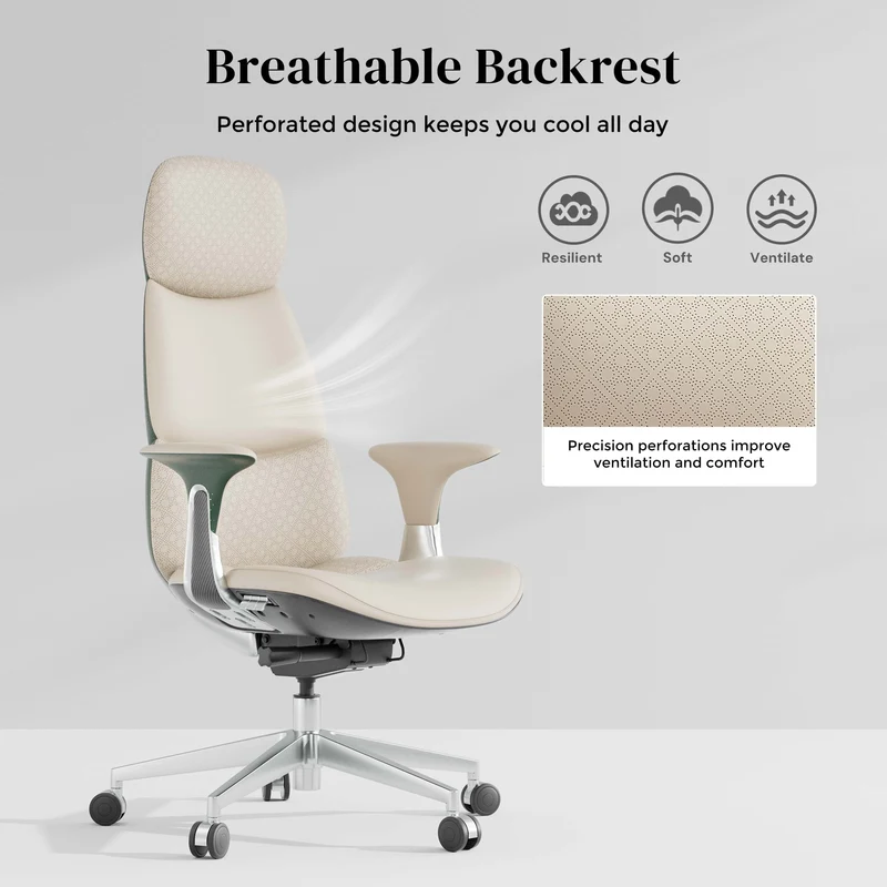 Omidi-Nolan Leather Chair with Classic Design