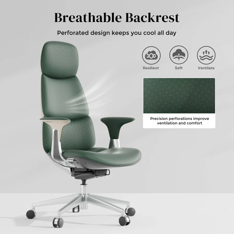 Omidi-Nolan Leather Chair with Classic Design