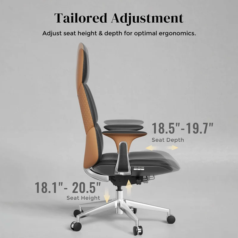 Omidi-Nolan Leather Chair with Classic Design