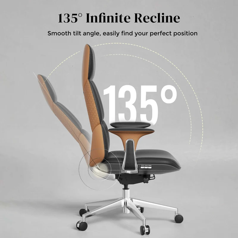 Omidi-Nolan Leather Chair with Classic Design