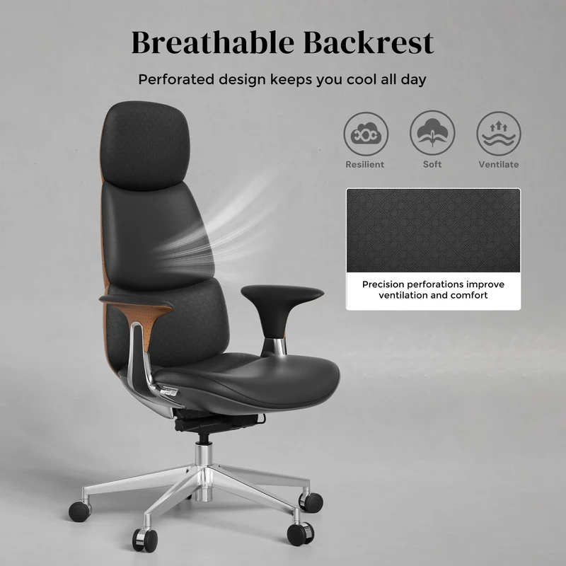 Omidi-Nolan Leather Chair with Classic Design
