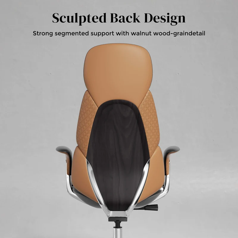Omidi-Nolan Leather Chair with Classic Design