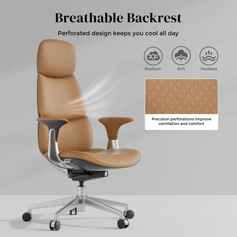 Omidi-Nolan Leather Chair with Classic Design