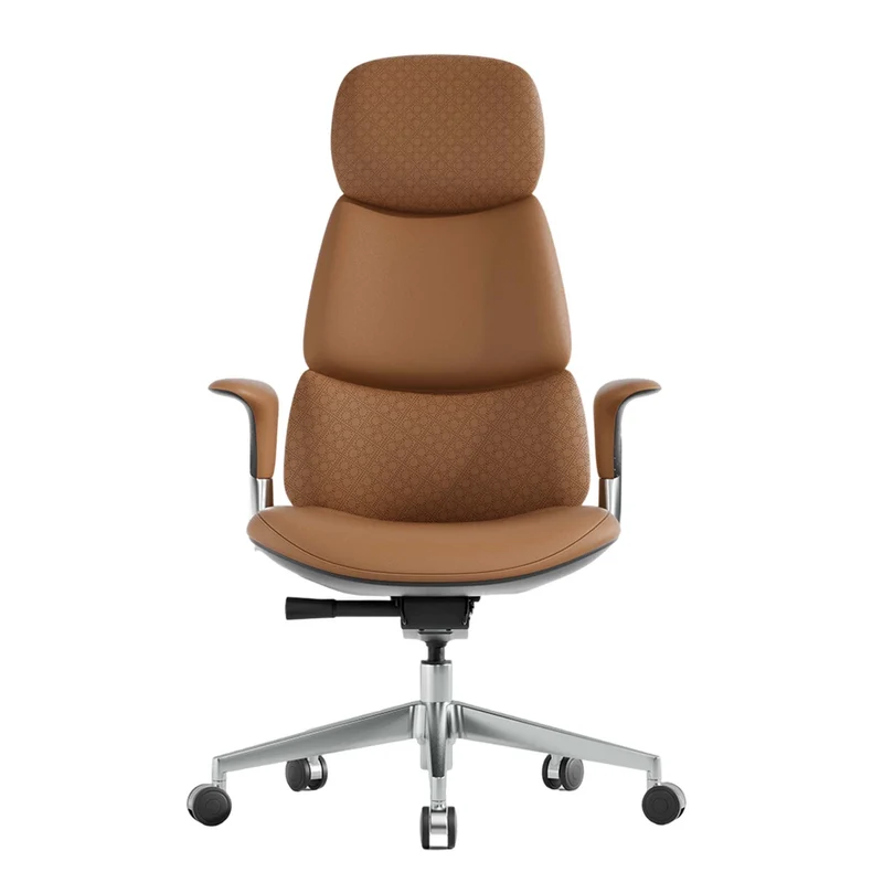 Omidi-Nolan Leather Chair with Classic Design