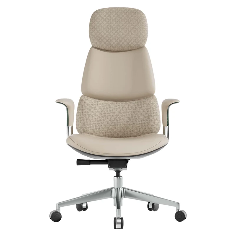 Omidi-Nolan Leather Chair with Classic Design
