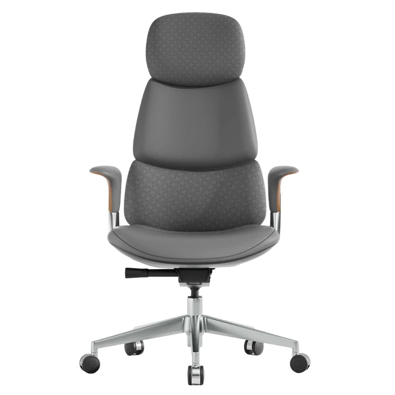 Omidi-Nolan Leather Chair with Classic Design