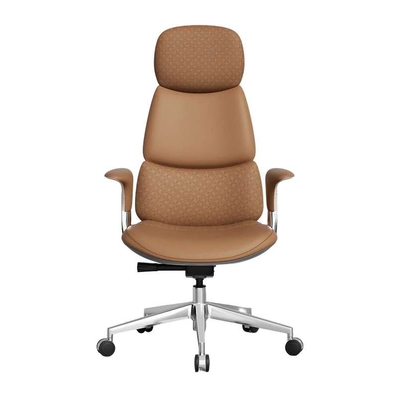 Omidi-Nolan Leather Chair with Classic Design