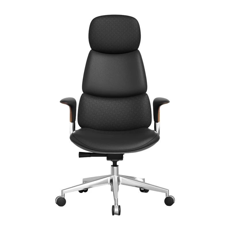 Omidi-Nolan Leather Chair with Classic Design
